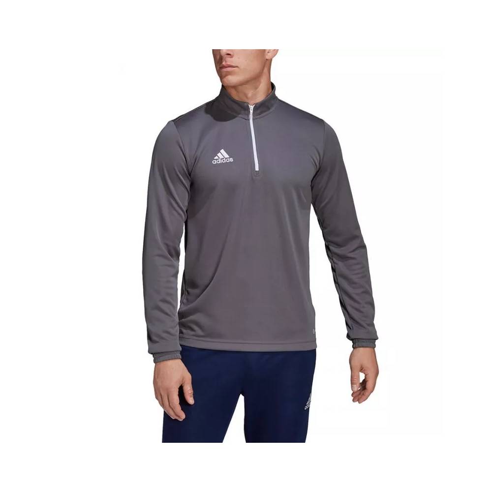 Džemperis adidas Entrada 22 Training Top M H57546