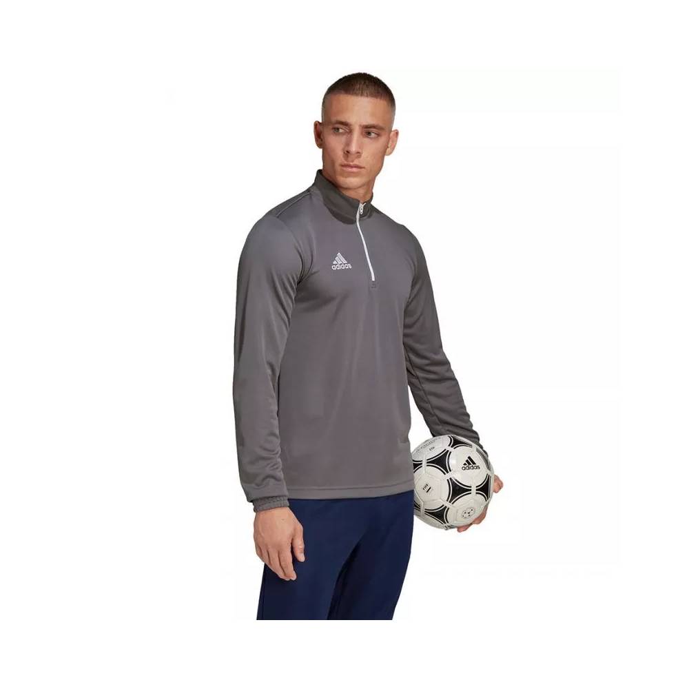 Džemperis adidas Entrada 22 Training Top M H57546