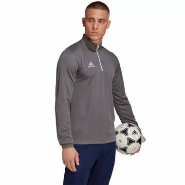 Džemperis adidas Entrada 22 Training Top M H57546