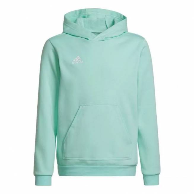 Adidas Entrada 22 Hoody JR HC5066 džemperis