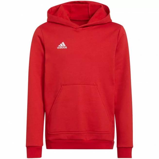 Džemperis adidas Entrada 22 Hoody Jr H57566