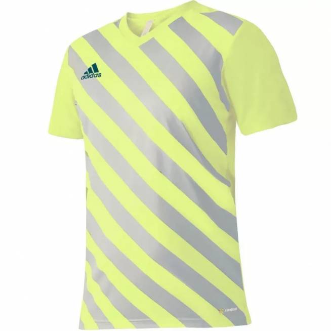 Marškinėliai adidas Entrada 22 Graphic Jersey M HF0118