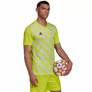 Marškinėliai adidas Entrada 22 Graphic Jersey M HF0118