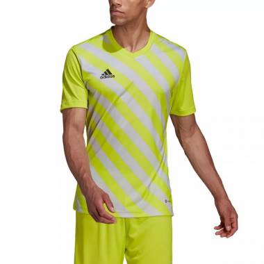 Marškinėliai adidas Entrada 22 Graphic Jersey M HF0118