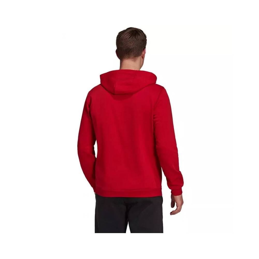 Džemperis adidas Entrada 22 Hoody M H57514