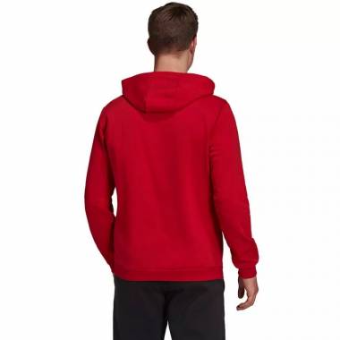 Džemperis adidas Entrada 22 Hoody M H57514