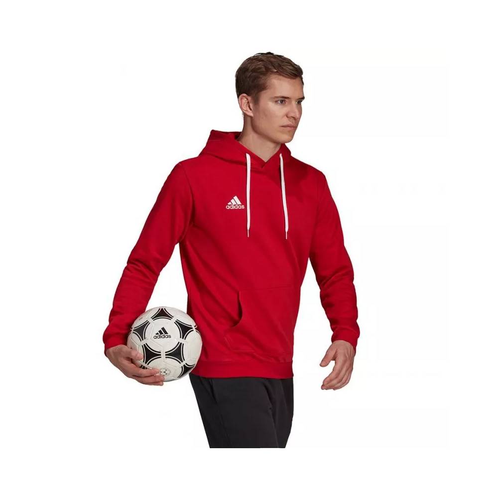 Džemperis adidas Entrada 22 Hoody M H57514