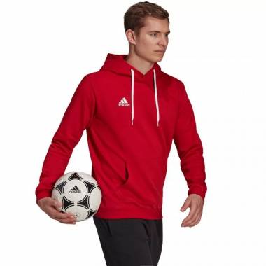 Džemperis adidas Entrada 22 Hoody M H57514