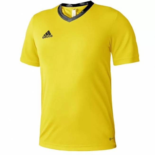 Marškinėliai adidas Entrada 22 Jersey M HI2122