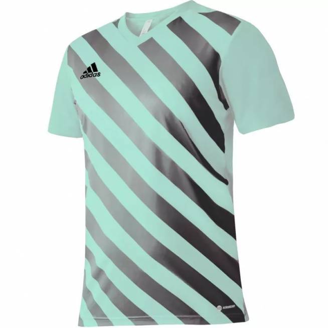 Marškinėliai adidas Entrada 22 Graphic Jersey M HF0119