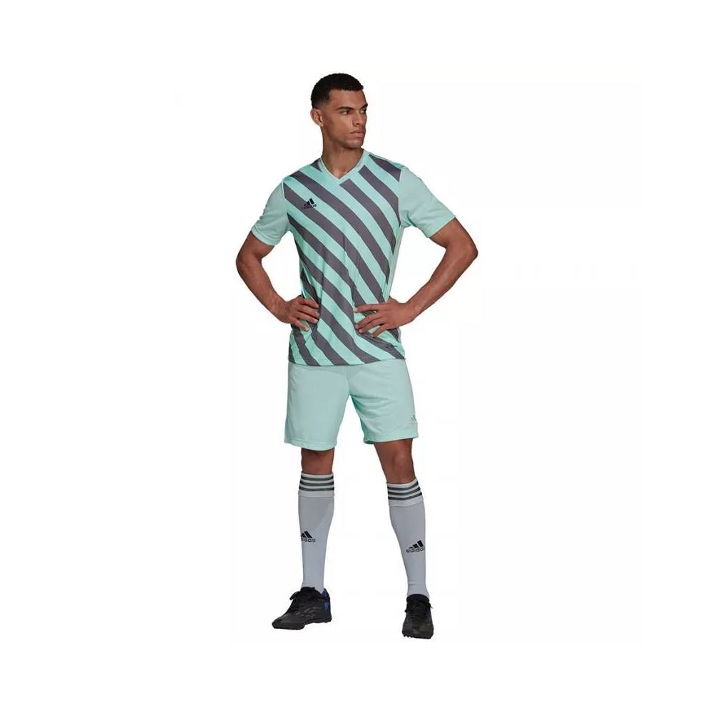 Marškinėliai adidas Entrada 22 Graphic Jersey M HF0119