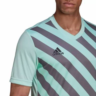 Marškinėliai adidas Entrada 22 Graphic Jersey M HF0119