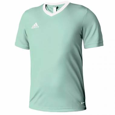 Marškinėliai adidas Entrada 22 Jersey Jr HC5078