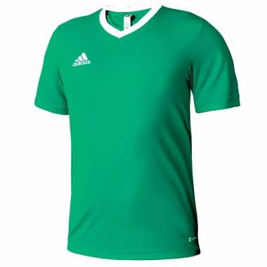 Marškinėliai adidas Entrada 22 Jersey Jr HI2126