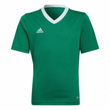 Marškinėliai adidas Entrada 22 Jersey Jr HI2126