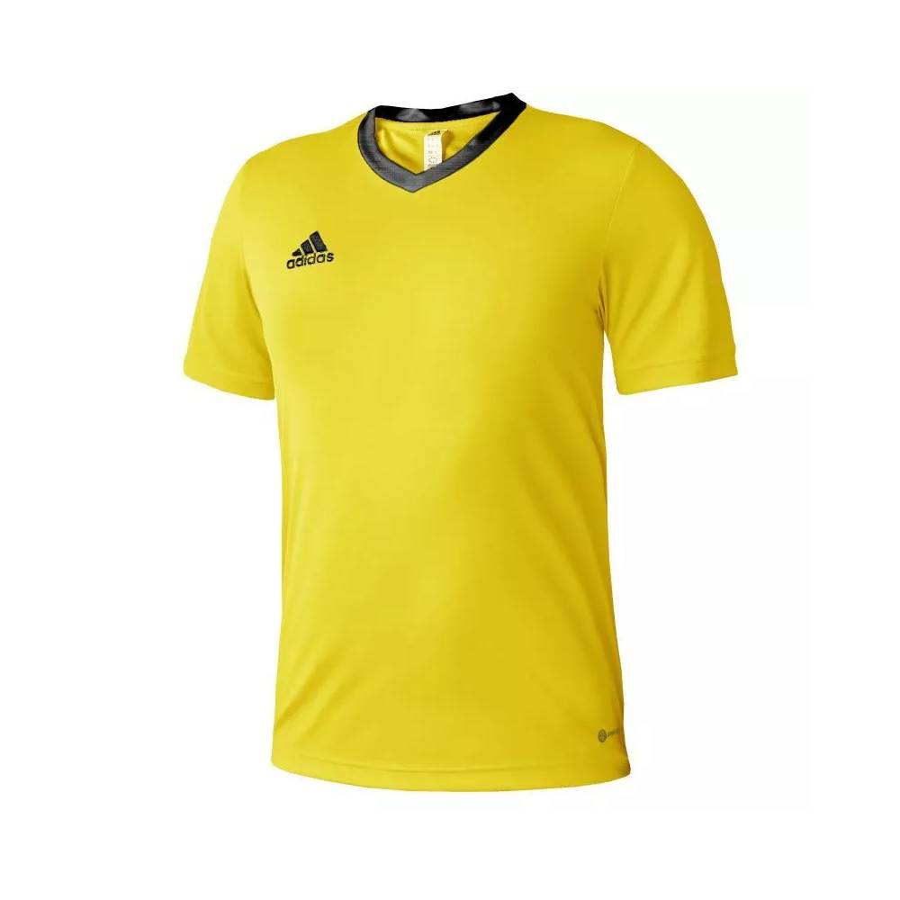 Marškinėliai adidas Entrada 22 Jersey Jr HI2127