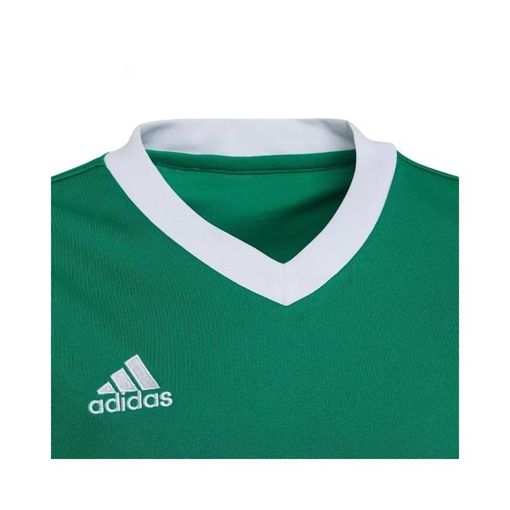 Marškinėliai adidas Entrada 22 Jersey Jr HI2126