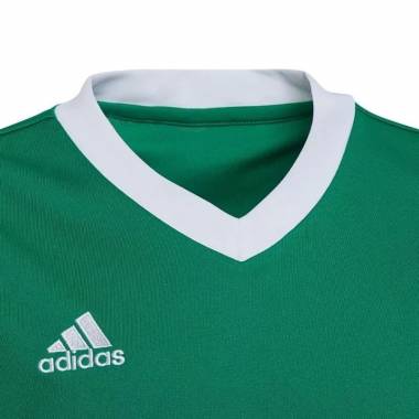 Marškinėliai adidas Entrada 22 Jersey Jr HI2126