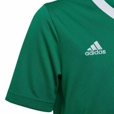 Marškinėliai adidas Entrada 22 Jersey Jr HI2126