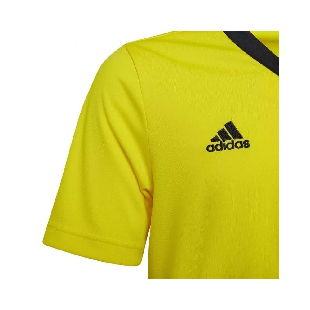 Marškinėliai adidas Entrada 22 Jersey Jr HI2127