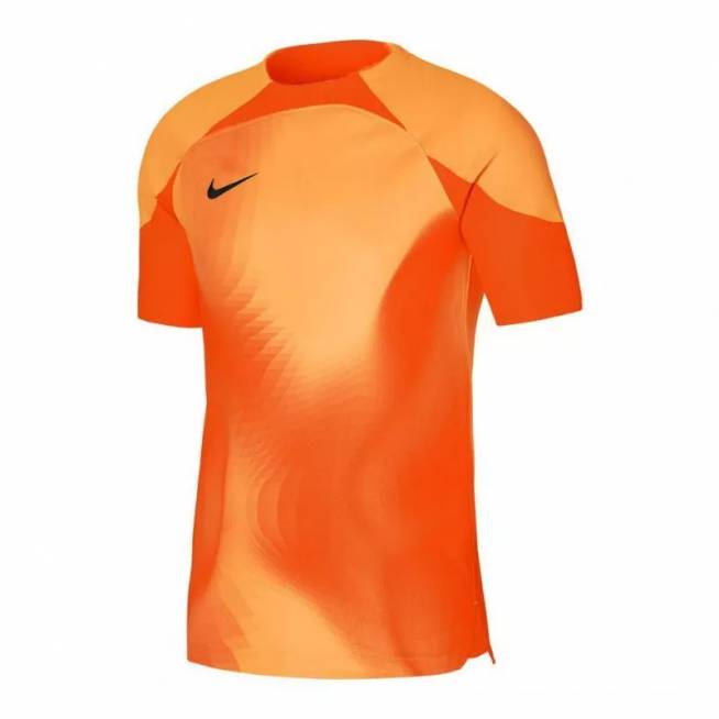 Nike Dri-FIT ADV Gardien 4 M DH7760-819 vartininko marškinėliai