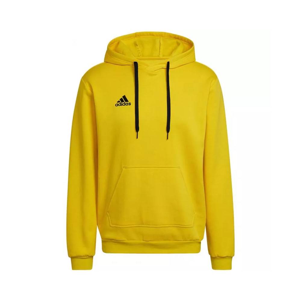 Adidas Entrada 22 Hoody M HI2140 džemperis