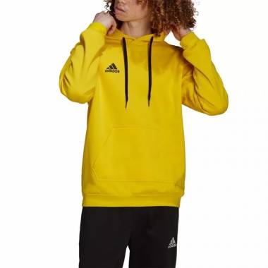 Adidas Entrada 22 Hoody M HI2140 džemperis