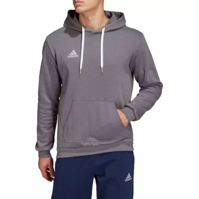 Džemperis adidas Entrada 22 Sweat M HB0578