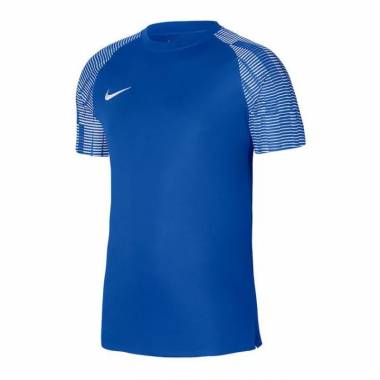 Nike Dri-Fit Academy SS M DH8031-463 marškinėliai