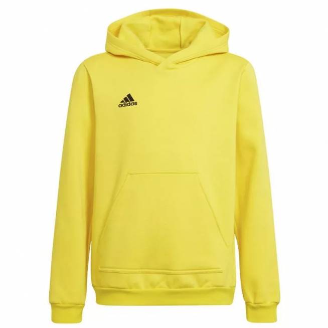 Džemperis adidas Entrada 22 Hoody Y Jr HI2142