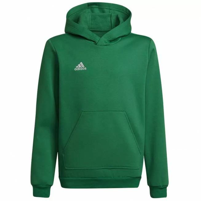 Džemperis adidas Entrada 22 Hoody Y Jr HI2143