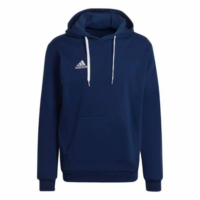 Džemperis adidas Entrada 22 Hoody M H57513