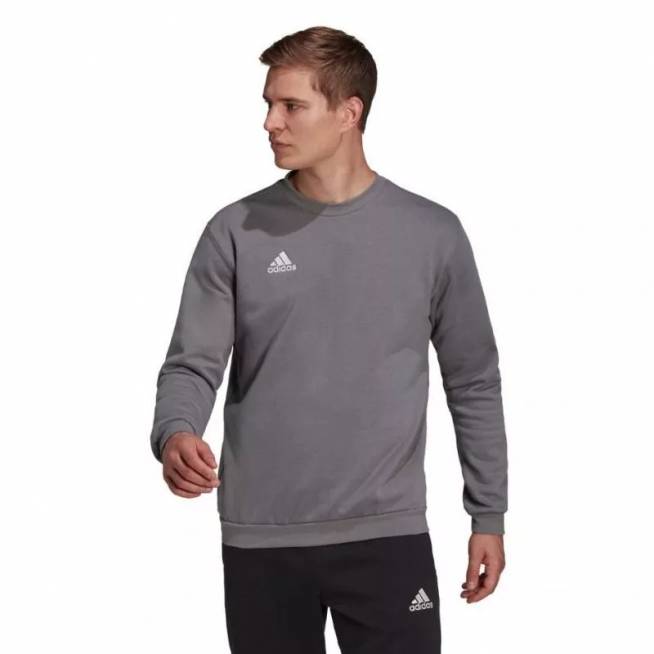 Džemperis adidas Entrada 22 Sweat Top M H57479