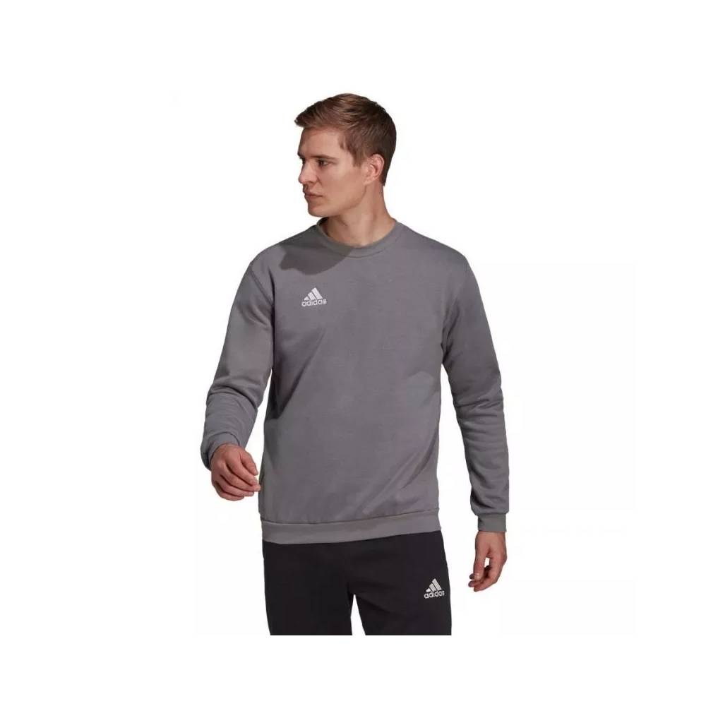 Džemperis adidas Entrada 22 Sweat Top M H57479