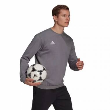 Džemperis adidas Entrada 22 Sweat Top M H57479