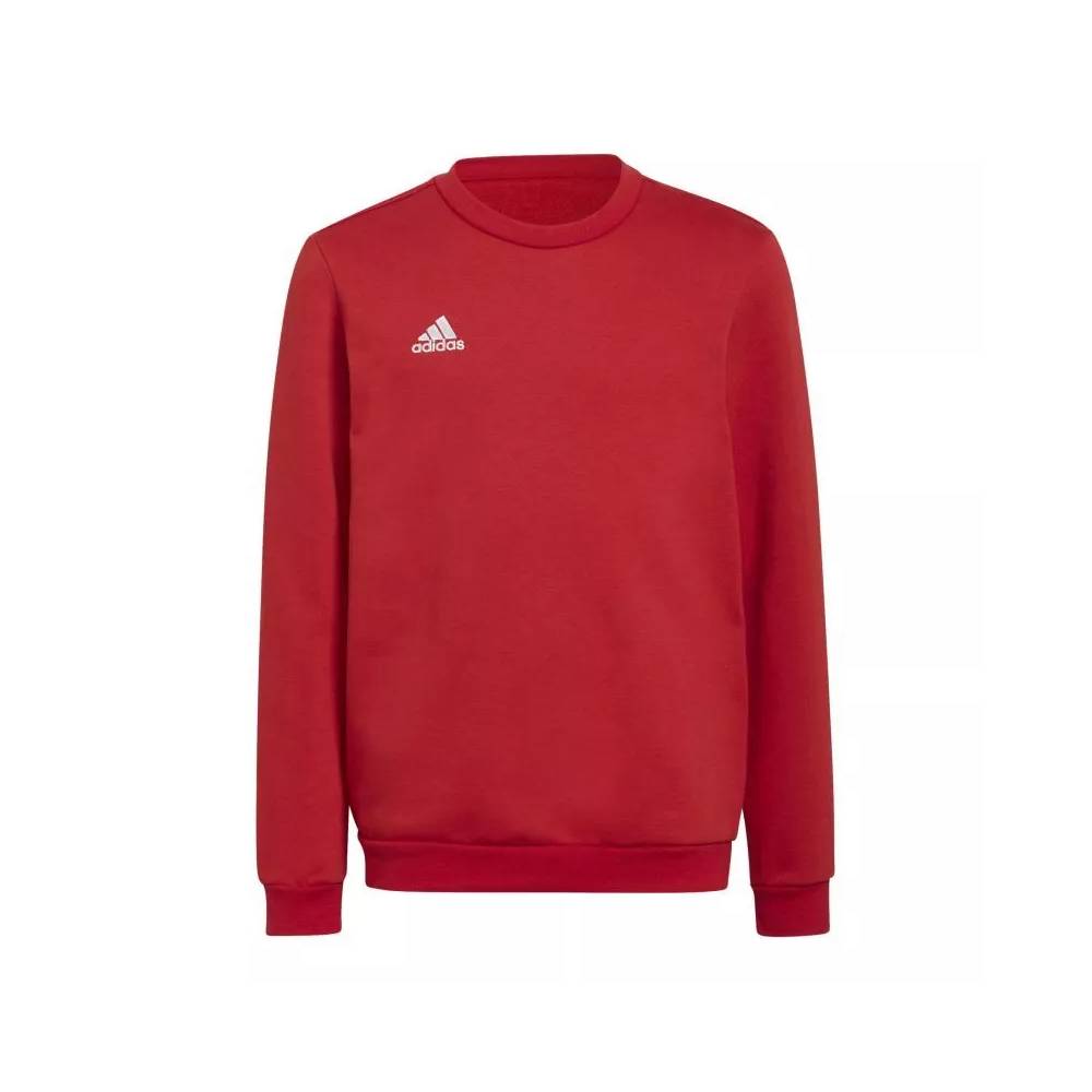 Džemperis adidas Entrada 22 Sweat Jr H57473