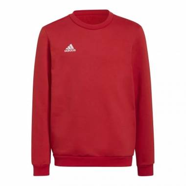 Džemperis adidas Entrada 22 Sweat Jr H57473