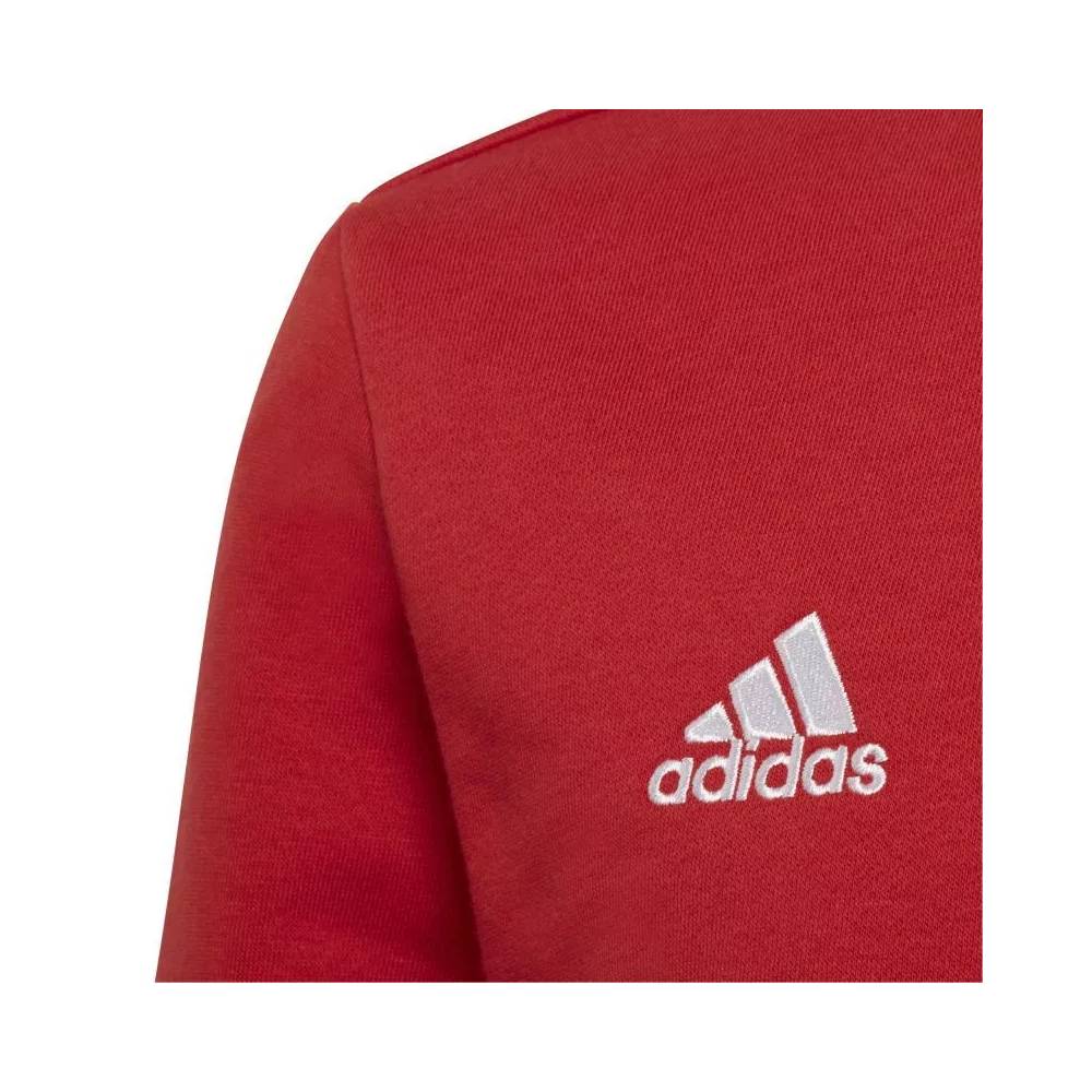 Džemperis adidas Entrada 22 Sweat Jr H57473