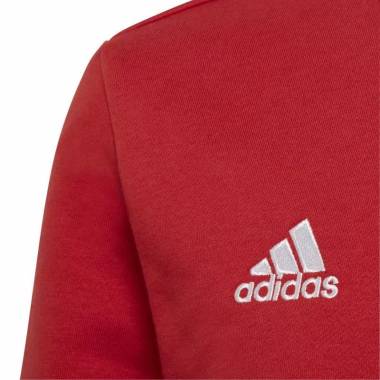 Džemperis adidas Entrada 22 Sweat Jr H57473