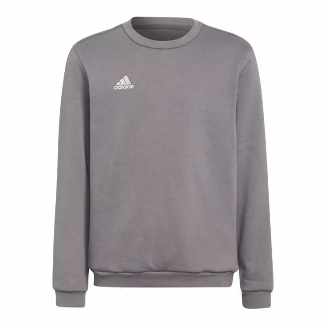 Adidas Entrada 22 Sweat Top Jr H57477 džemperis