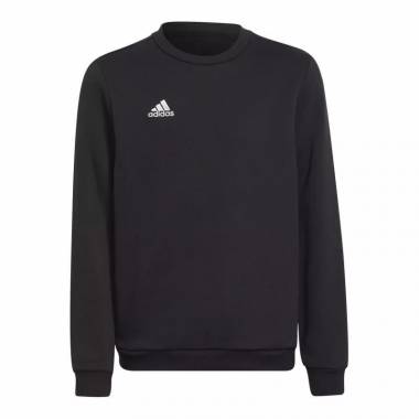 Džemperis adidas Entrada 22 Sweat Jr H57474