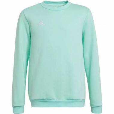 Adidas Entrada 22 Sweat Top Jr HC5042 džemperis