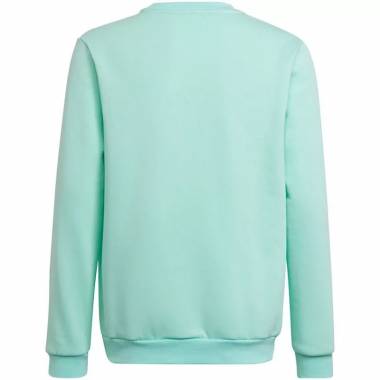 Adidas Entrada 22 Sweat Top Jr HC5042 džemperis