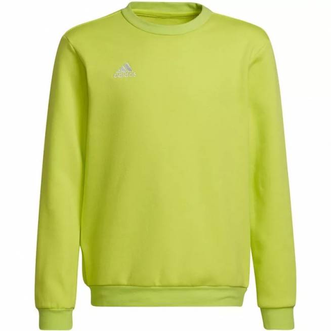 Džemperis adidas Entrada 22 Sweat Top Jr HC5043