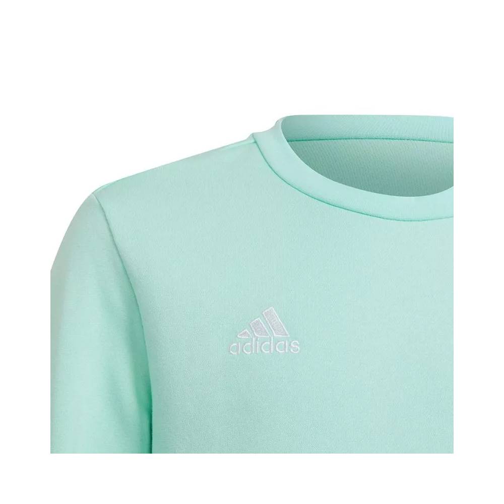 Adidas Entrada 22 Sweat Top Jr HC5042 džemperis