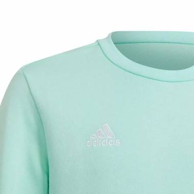 Adidas Entrada 22 Sweat Top Jr HC5042 džemperis