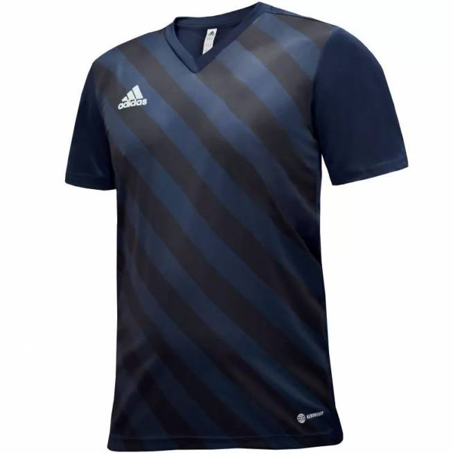 Marškinėliai adidas Entrada 22 Graphic Jersey Jr HF0122