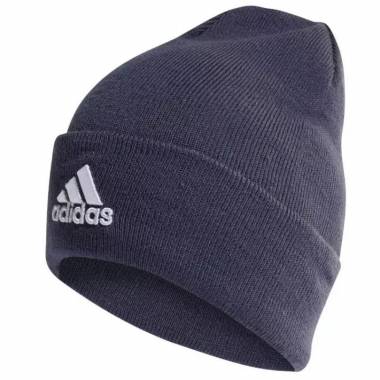 Kepurė adidas Logo Woolie HL HL4809