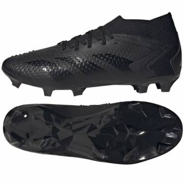 Adidas Predator Accuracy.2 FG M GW4588 futbolo bateliai