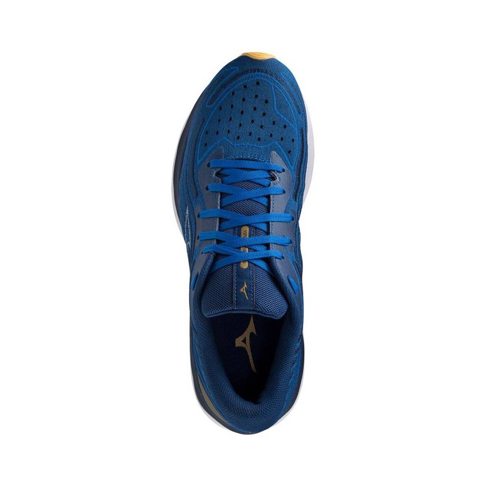 Bėgimo bateliai Mizuno WAVE SKYRISE 4 M J1GC230903